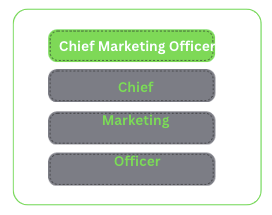 chief marketing officer (cmo)